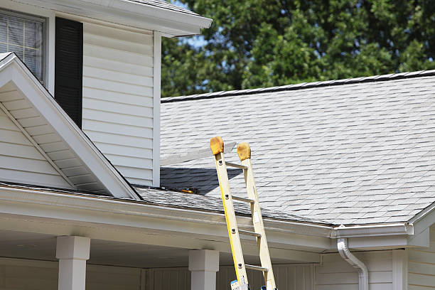 Professional Siding in Holly Ridge, NC